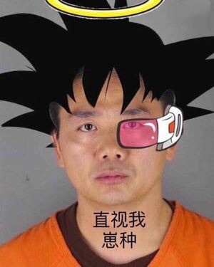 刘强东直视我崽种表情包