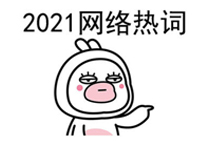 2021年网络流行梗大全