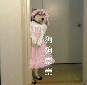 jk lo 狗狗祟祟