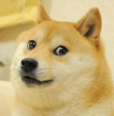 doge表情包
