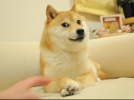 DOGE